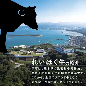 熊本県産　黒毛和牛　サーロイン　ブロック　３ｋｇ