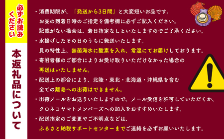 【西日本限定発送】浜崎水産の緋扇貝　１５個 | 貝 ヒオウギガイ  貝 ヒオウギガイ 貝 ヒオウギガイ 貝 ヒオウギガイ 貝 ヒオウギガイ 貝 ヒオウギガイ 貝 ヒオウギガイ 貝 ヒオウギガイ 貝 ヒオウギガイ 貝 ヒオウギガイ 貝 ヒオウギガイ 貝 ヒオウギガイ 貝 ヒオウギガイ 貝 ヒオウギガイ 貝 ヒオウギガイ 貝 ヒオウギガイ