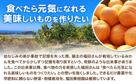 野菜 果物 詰め合わせ 自然栽培|福田果樹園