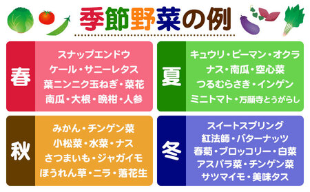 野菜 果物 詰め合わせ 自然栽培|福田果樹園