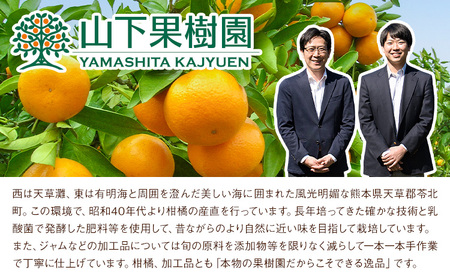 まるごとぎゅーっとゼリー 100g × 8本 みかん山下果樹園