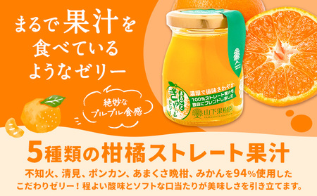 まるごとぎゅーっとゼリー 100g × 8本 みかん山下果樹園