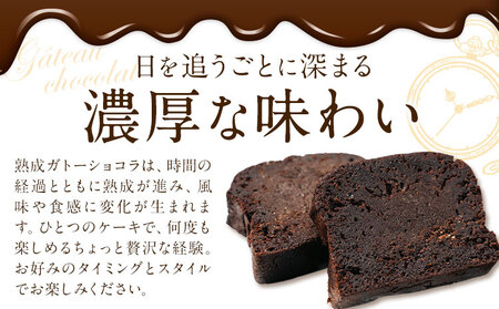 菓子 ケーキ ガトーショコラ 1本 洋菓子店Hana《30以内に出荷予定(土日祝除く)》 熊本県 苓北町 チョコレートケーキ 天草 苓北 熊本 送料無料