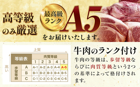 黒毛和牛 牛肉 霜降り モモ  ブロック 3.5kg 田中畜産