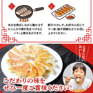 将軍ぎょうざ 80個 (20個×4箱)