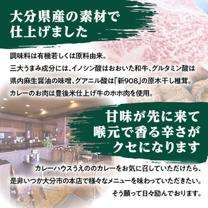 大分の味、受け継がれる魂のうえのビーフカレー　3袋