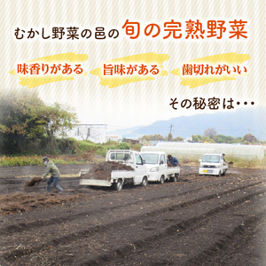 F01005  むかし野菜の邑　大分市産直　自然栽培の野菜セット