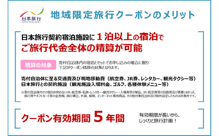 大分県大分市 日本旅行 地域限定旅行クーポン 【60,000円分】