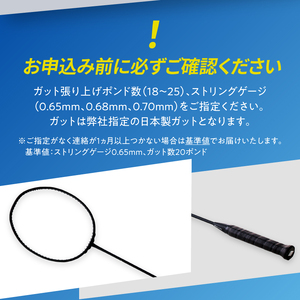 バドミントンラケット C-BLACK (シーブラック)