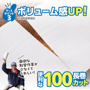 グッと吸い込むキッチンタオル100カット(6ロール×8パック)