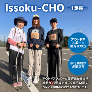 ウォーキングポール Issoku-CHO（1足長） ブラックシルバー 1本