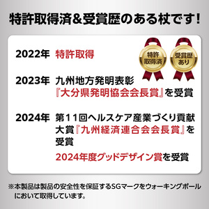 ウォーキングポール Issoku-CHO（1足長） ブラックシルバー 1本