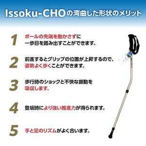 ウォーキングポール Issoku-CHO（1足長） シャンパンゴールド 1本