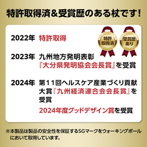 ウォーキングポール Issoku-CHO（1足長） シャンパンゴールド 1本