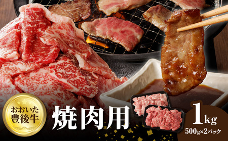 おおいた豊後牛 焼肉用 1kg