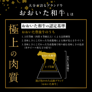 おおいた和牛 モモサイコロステーキ 500ｇ