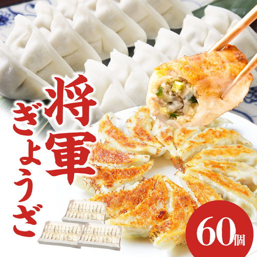 餃子専門店の餃子 将軍餃子 60個 11,840円