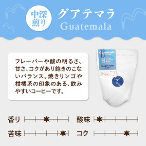 スペシャルティコーヒー コーヒー豆100g×3袋入り ギフトセット