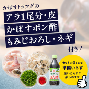 かぼすトラフグ うす引き・チリセット（36cm皿）【12月～2月までお届け】