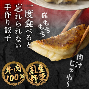 華永餃子セットF（かぼす×2、一口×1、華々×1） 計62個