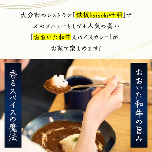 おおいた和牛 スパイスカレー 3袋