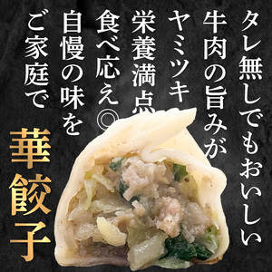 華永餃子セットA（華×1、一口×1、かぼす×1） 計54個