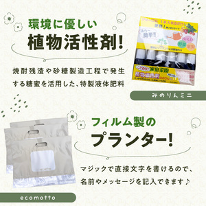 バンブーガーデンキット R17024