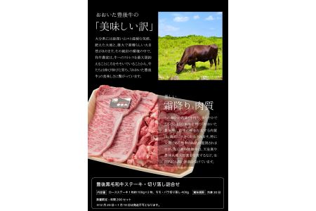 豊後黒毛和牛ステーキ・切り落し詰合せ約600g