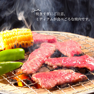 豊後牛もも焼肉用約500g