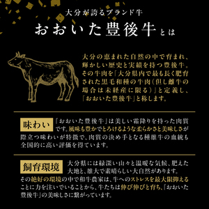 豊後牛もも焼肉用約500g