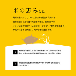 A02012　米の恵み 豚バラセット 約1kg 豚肉 豚バラ肉 国産豚バラ BBQ豚バラ バーベキュー豚バラ 焼肉豚バラ 豚しゃぶ 豚バラスライス 