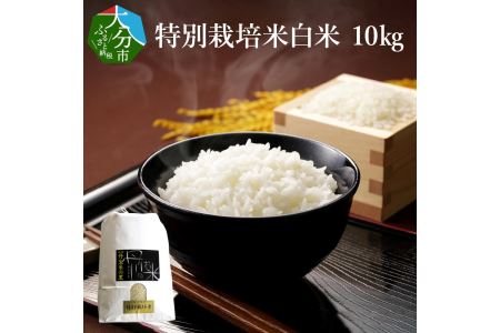 B01021　特別栽培米ぴかまる白米 10kg