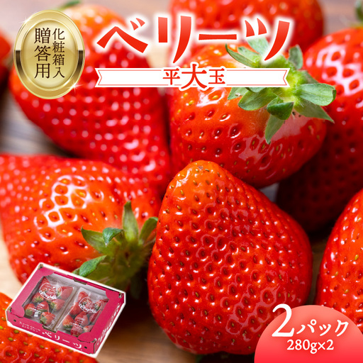 【先行予約※2026年2月下旬より発送開始】大分県ブランドいちご「ベリーツ」平大玉 約280g×2パック