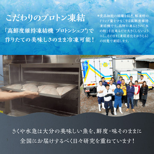 関ぶりのフィレ（カマ付）　約1.5kg