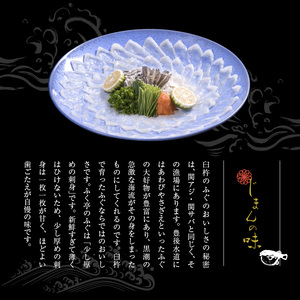 【10月20日以降配送】ふく亭　本店　とらふぐ　ふぐ刺し　ふぐちりセット（2～3人前　白子付き）