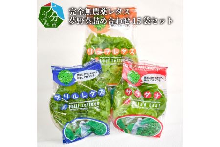 F01003　完全無農薬レタス　夢野菜詰め合わせ15袋セット