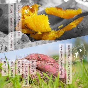F02008　大分県の特産品【甘太くん】干し芋100ｇ×10袋