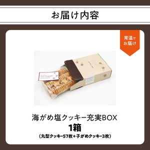 海がめ塩クッキー充実BOX (57枚+子がめクッキー3枚) 箱入り