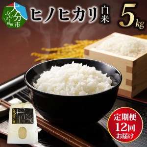 B01024　【定期便】丹生米の里 丹川のお米 ヒノヒカリ白米 5kg×12回