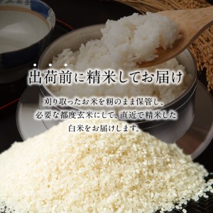 B01024　【定期便】丹生米の里 丹川のお米 ヒノヒカリ白米 5kg×12回