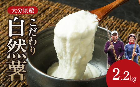 こだわり自然薯 B