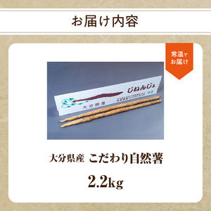 こだわり自然薯 B