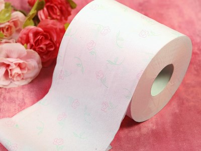 R トイレットペーパー プリントロール ローザリー 2倍巻き 50mダブル 12ロール 6パック 大分県大分市 ふるさと納税サイト ふるなび