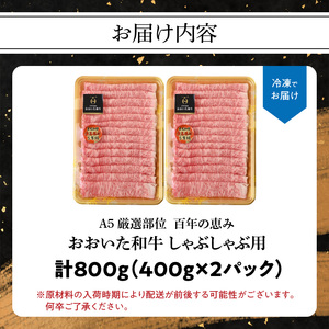 百年の恵み おおいた和牛A5 しゃぶしゃぶ用【厳選部位】約800g