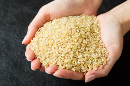 B02009　丹生米の里丹川のお米 ヒノヒカリ玄米 20kg