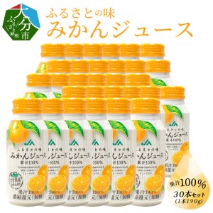 I02064　ふるさとの味みかんジュース 果汁100％ 190g×30本