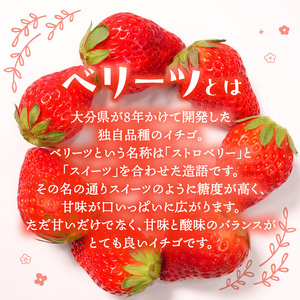C07010 【先行予約※2025年2月下旬より発送開始】大分県ブランドいちご「ベリーツ」約250g×4パック