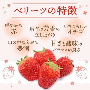 C07010 【先行予約※2025年2月下旬より発送開始】大分県ブランドいちご「ベリーツ」約250g×4パック