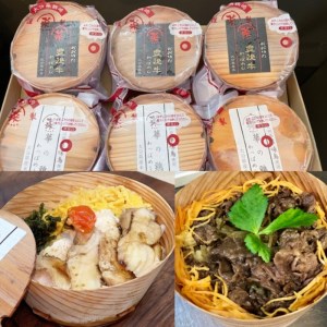おおいた 豊後牛・華の鶏 日田杉わっぱめし 6個セット