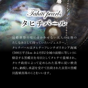 タヒチ黒真珠ピアス 真珠10mm 14Kホワイトゴールド
